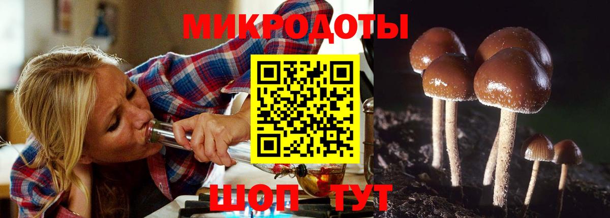 Ульяновск  Галлюциногенные грибы Psilocybe  Вход с VPN  Галлюциногенные грибы ЛСД 